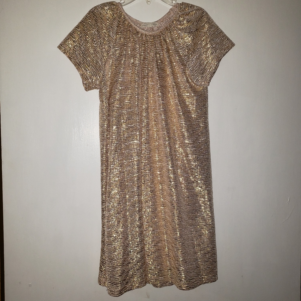 Girls elegant dress